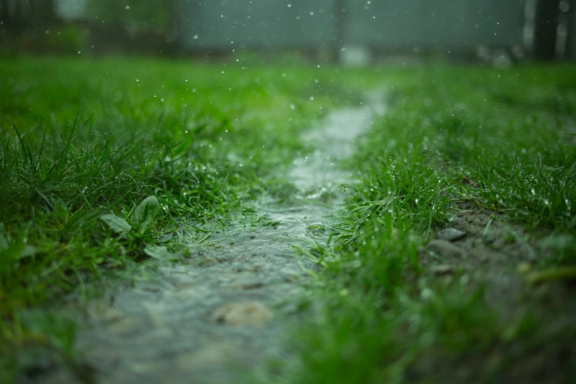 Ressource en eau douce grâce à la pluie