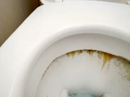 WC entartrés